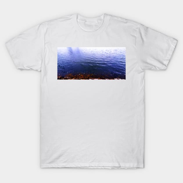 rock pool T-Shirt by shesarebell